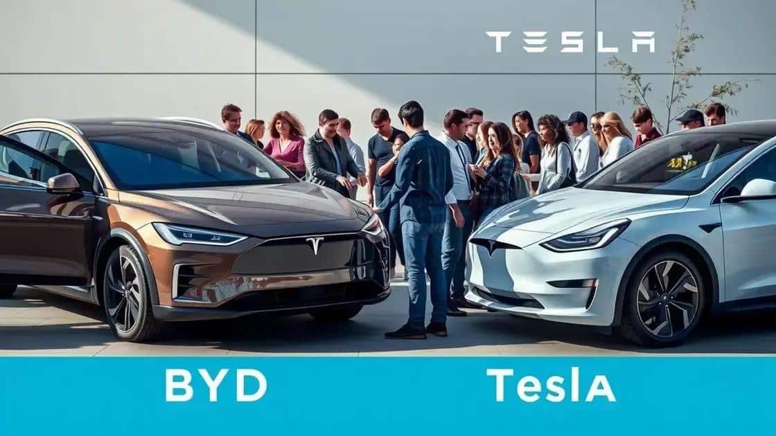 Consumer perceptions of BYD and Tesla